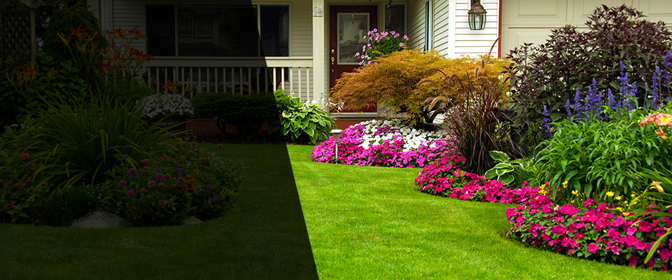 Southaven Landscapers