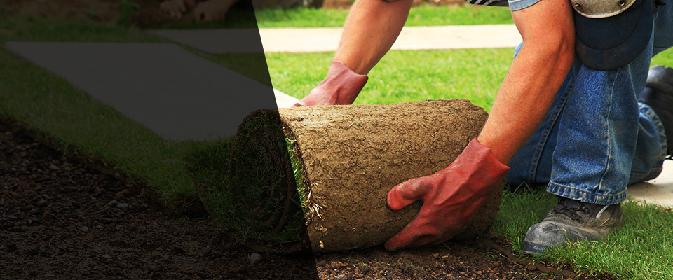 Southaven Landscapers